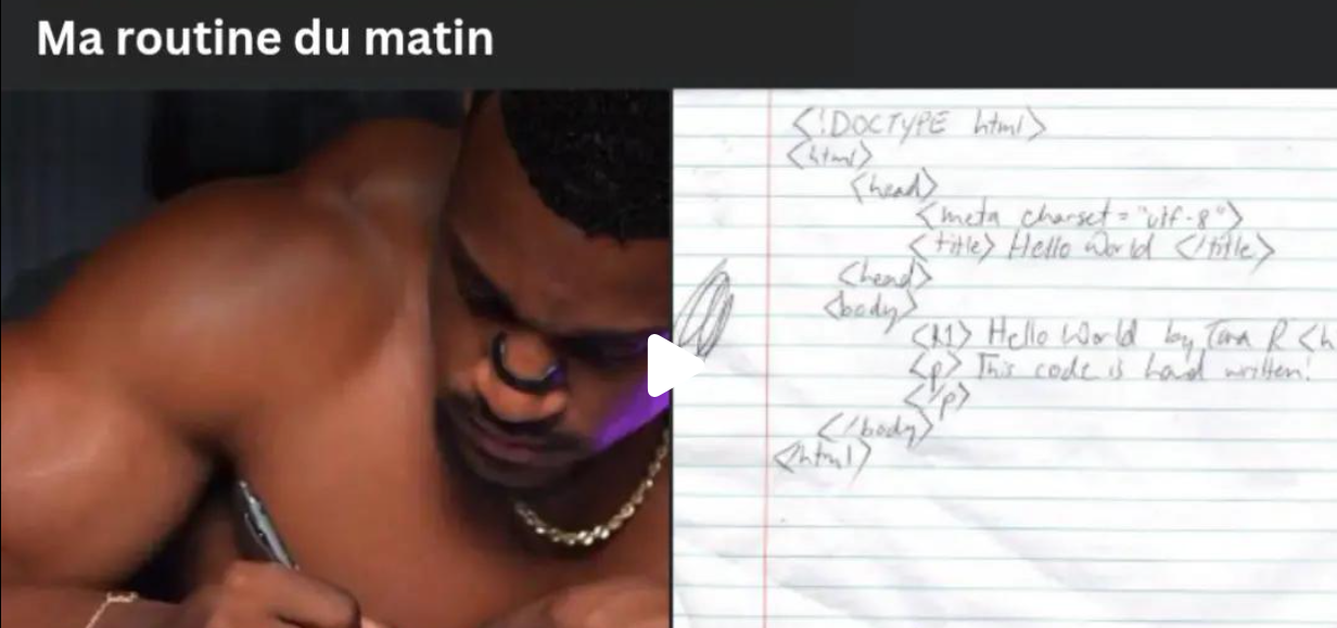 TikTok - Memes informatiques