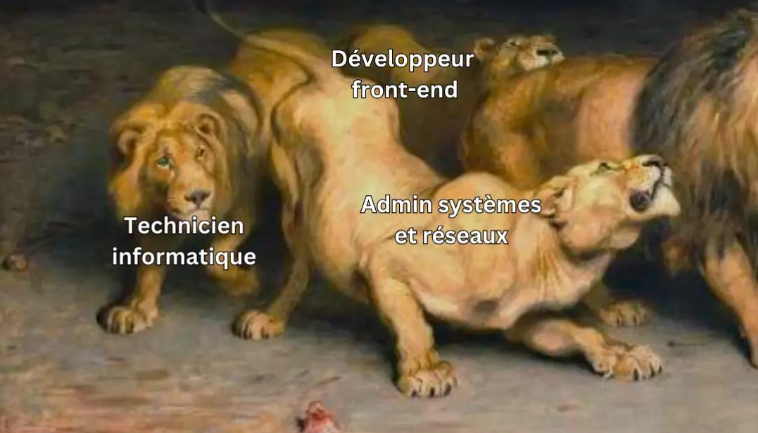TikTok - Métiers de l'informatique